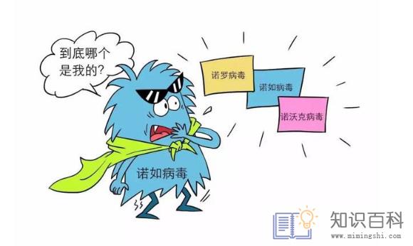 诺如病毒可以用84消毒吗3