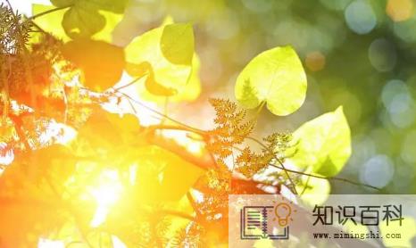 现在凌晨四点天亮了吗1