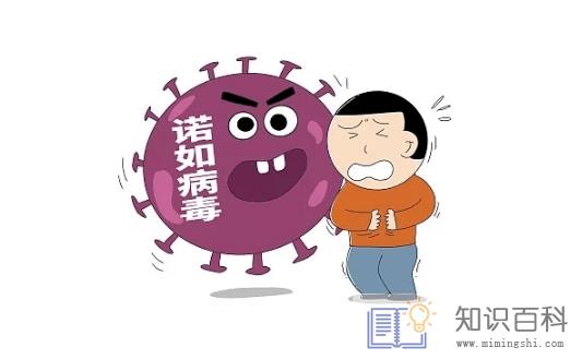 诺如病毒是新冠病毒的变异吗3