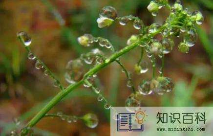 2023苏州梅雨季节是哪几个月1