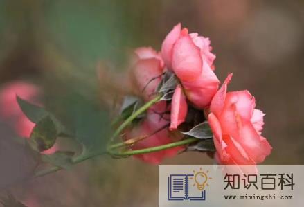 2023苏州梅雨季节是哪几个月2