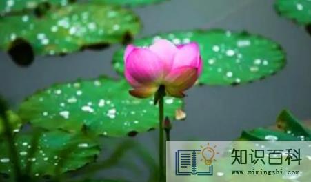 2023苏州梅雨季节是哪几个月3