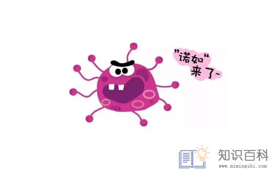 诺如病毒感染一次还会再感染吗1