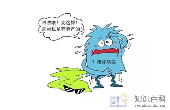 诺如病毒会传染给大人吗1