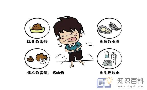 诺如病毒会传染给大人吗2