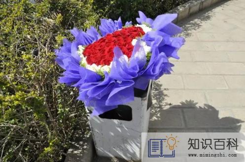 丢在垃圾桶的鲜花能捡回来吗2