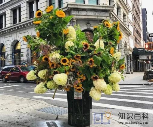 丢在垃圾桶的鲜花能捡回来吗3