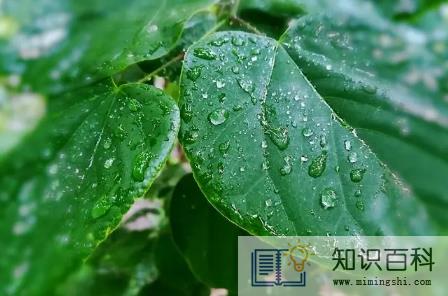 2023年苏州三月份下雨多吗1