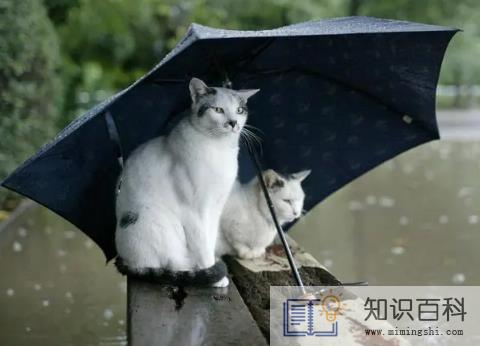 2023年苏州三月份下雨多吗3