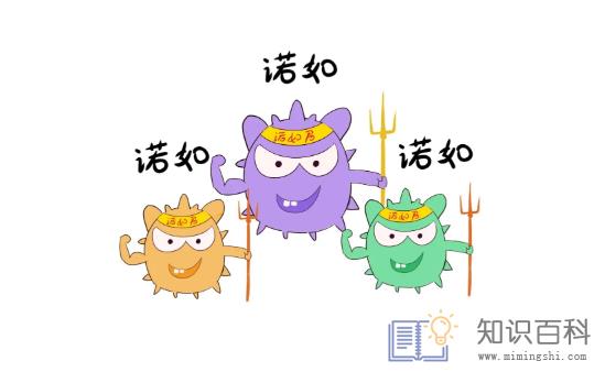 诺如病毒用84好还是次氯酸好2