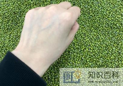橄榄皮是不是见光就白1