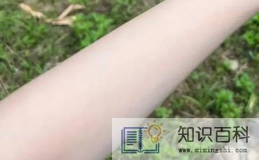 橄榄皮是不是见光就白3