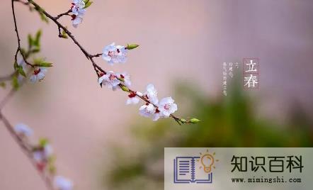 一年无春为什么说寡妇年2