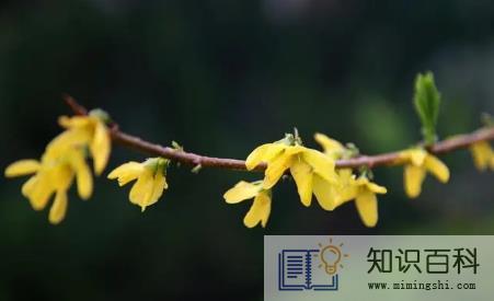 2023躲春时睡觉好吗 1