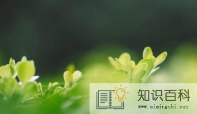 2023躲春时睡觉好吗 2