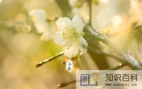 2023躲春时睡觉好吗 3