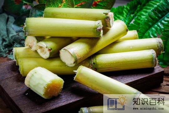 甘蔗加热后是凉性还是热性3