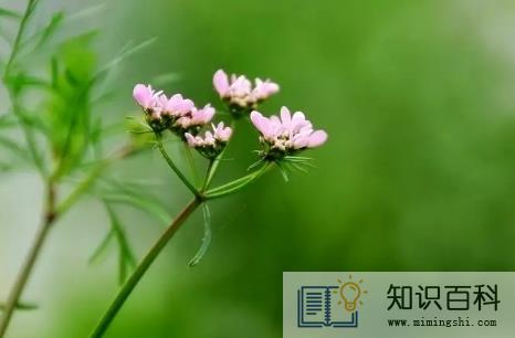 2023年两个二月会冷吗1