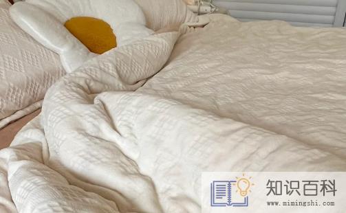 床上4个迹象说明螨虫已经盯上你了2