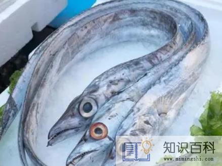 成袋的带鱼是不是很腥2