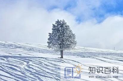 冬三九是什么意思1