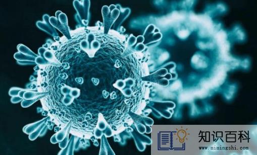 家人先后阳了会造成重复感染吗2