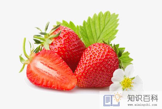 冬天草莓放冰箱好还是在外面好1