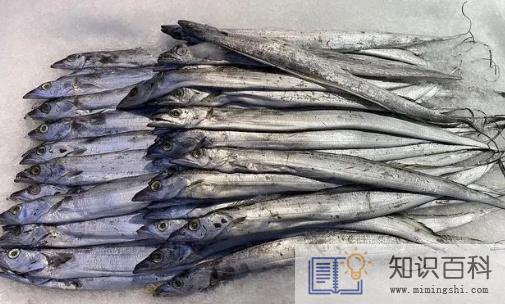 袋装的带鱼能放多久2