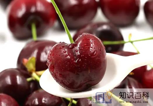 车厘子送人买什么级别3
