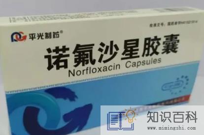 诺氟沙星胶囊治疗腹泻吗1