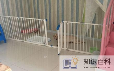 2023兔年3月哪几天适合安门2