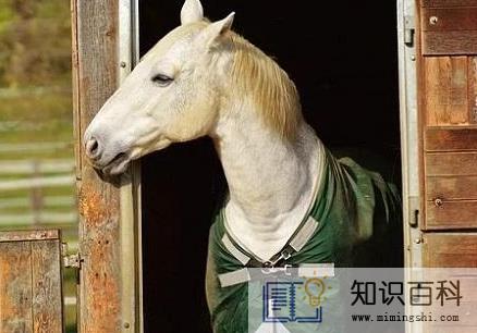 属蛇人在2023年犯太岁吗3