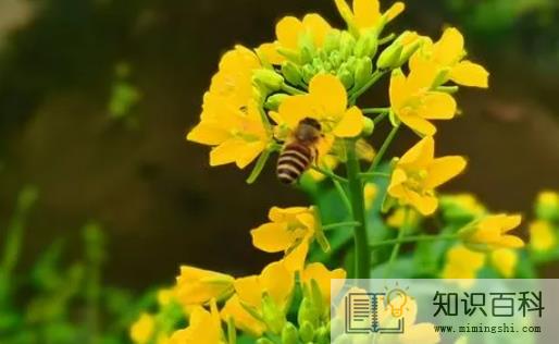广东2023年是最冷的一年吗3