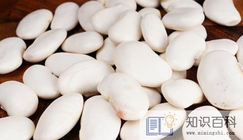 白芸豆真的可以减肥吗2