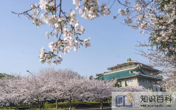 2023武大可以进去看樱花吗2
