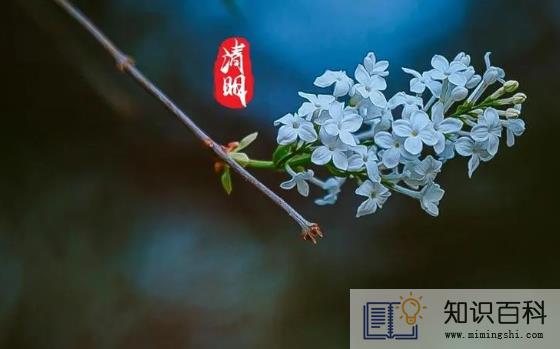 新坟清明节当天可以上坟吗3