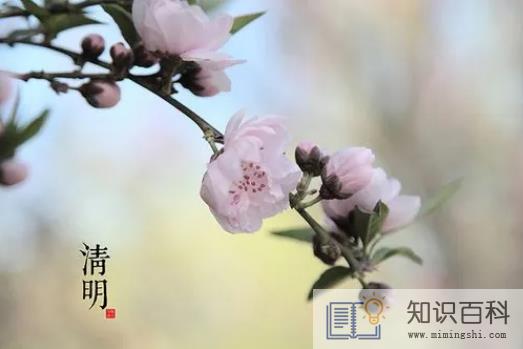 新坟清明节上坟要提前一天吗3