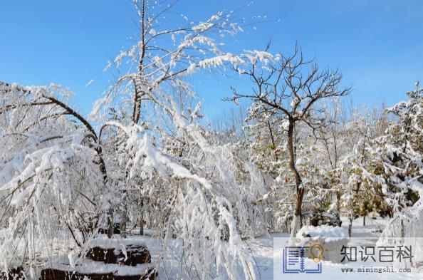 2023年3月还会下雪吗1