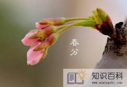 2023年的春分是几月几日星期几2
