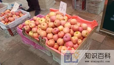 2023年关将近卖什么水果好2