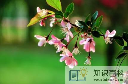 2023过完年几月份开始暖和3