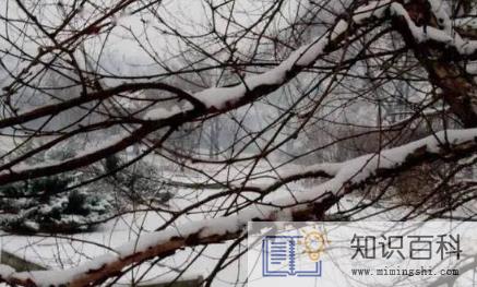 2023兔好还是2024龙好3