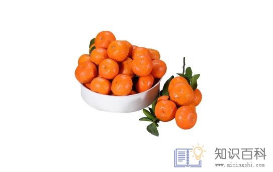 砂糖橘可以放冰箱冷藏保鲜吗1