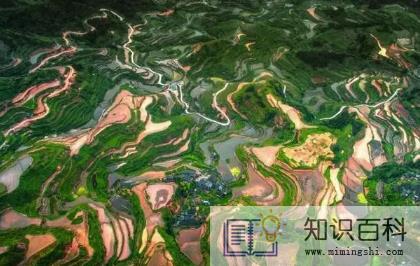 ​2023广东的春节是什么时候开始的2