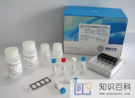 自己做抗原上传健康码会显示吗3