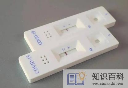 抗原结果怎么上传到健康码1