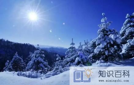 2023数九三九冷还是四九冷1