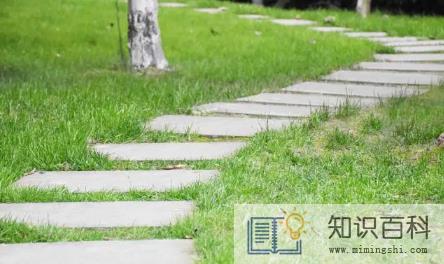 2023寒食和清明节是一天吗1
