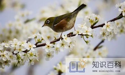 2023年南京几月开始暖和1