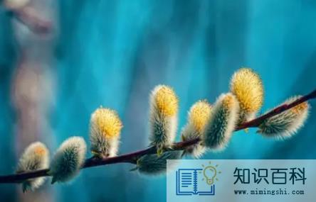 2023年南京几月开始暖和3